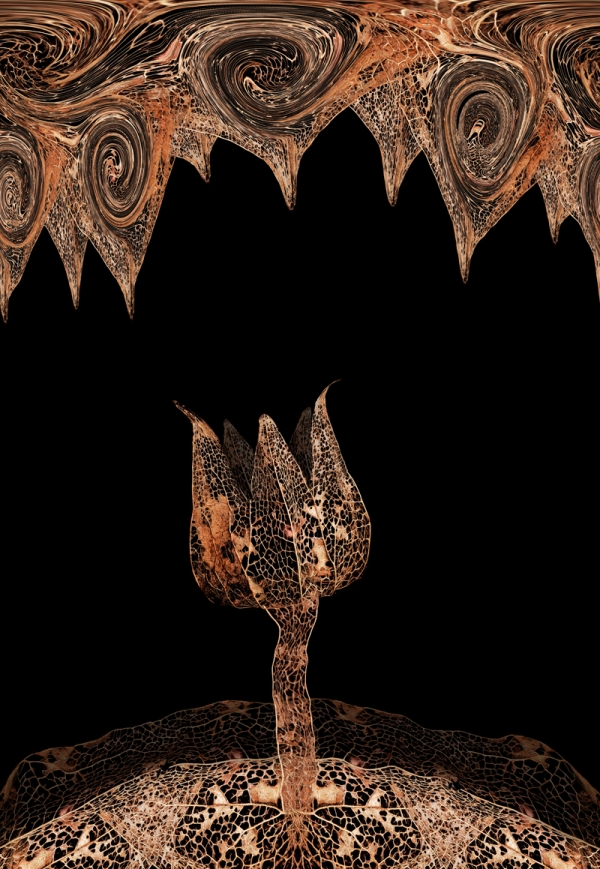 Creation of Withered capsule chamber: Step 6